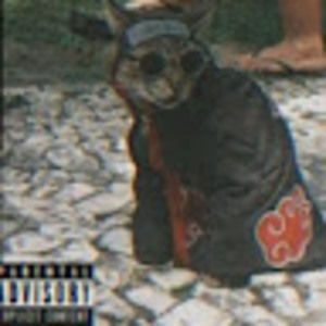 Meet your Posher, Yads